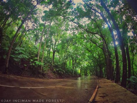 Centenarian Osmena Reforestation Project.